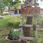 With Mediterranean Garden Villa Divšići