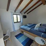With Mediterranean Garden Villa Divšići