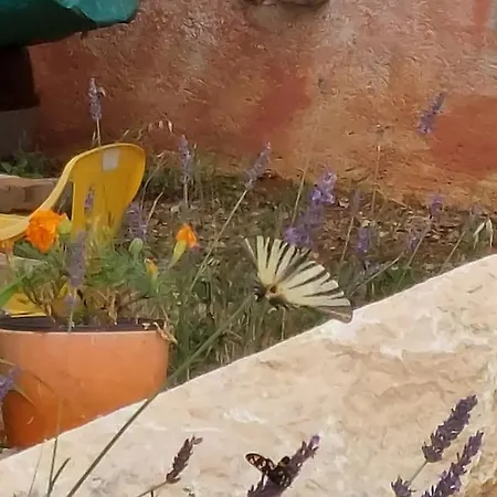 With Mediterranean Garden * Divsici